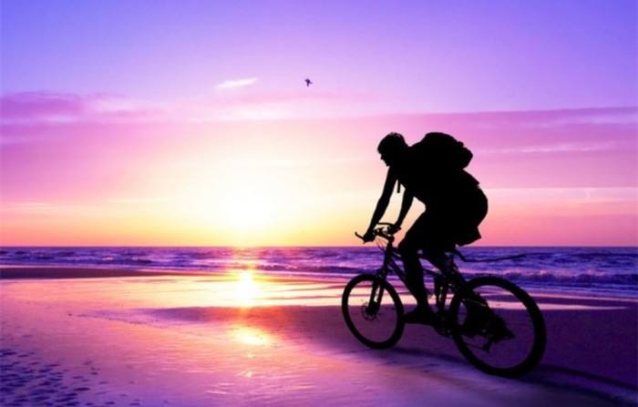 Signification du cyclisme électrique : Exercice physique et récolte visuelle - blog - 1
