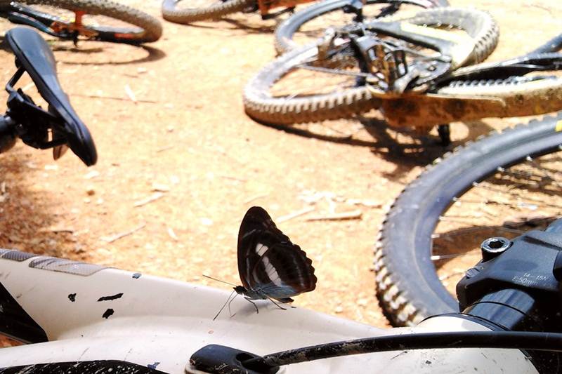 Re-créé un géant #Long voyage à vélo après un garçon de 16 ans - Product knowledge - 16