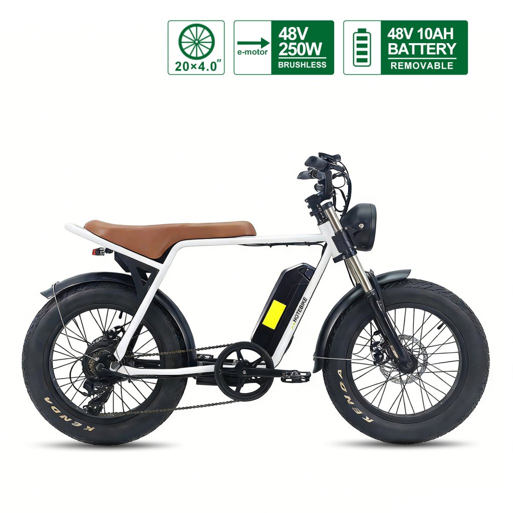 HOTEBIKE 20 Fat Tire Electric Bike – 250W Motor, 48V Battery, All-Terrain Beast